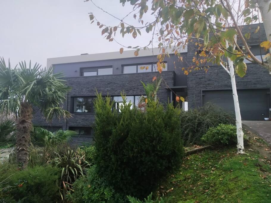Suite En El Faro De Hondarribia, Con Vistas Ngoại thất bức ảnh